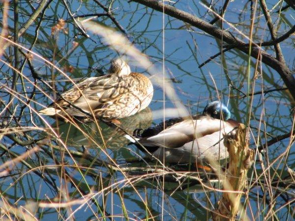 Immer ein waches Auge